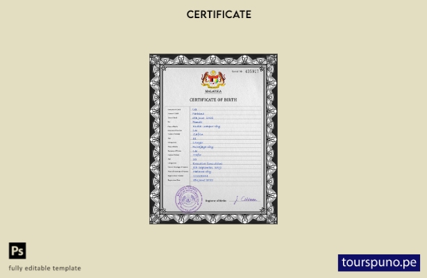 listo para imprimir plantilla PSD de certificado de nacimiento de registro ci 36